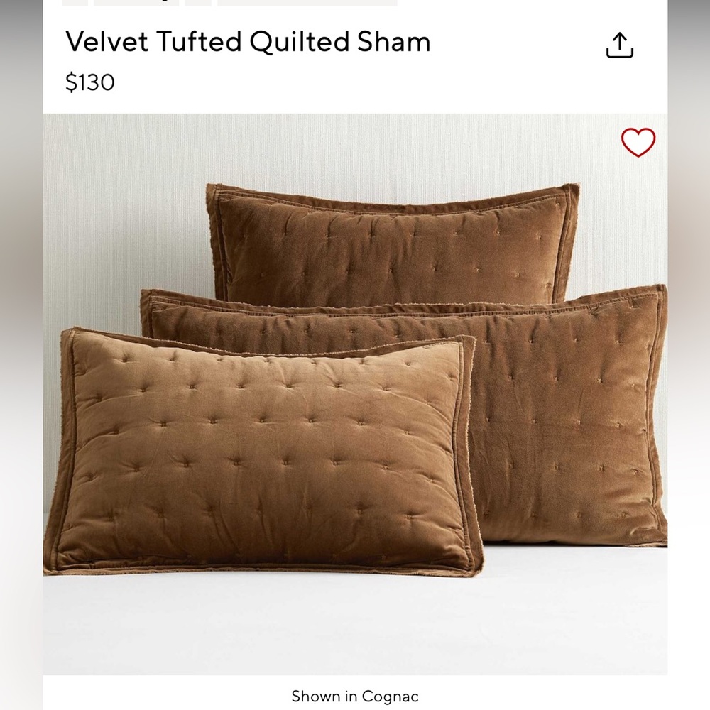 Pottery Barn Velvet Sham